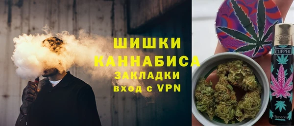 хмурый Заводоуковск
