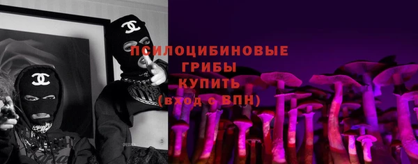 сатива Зеленокумск