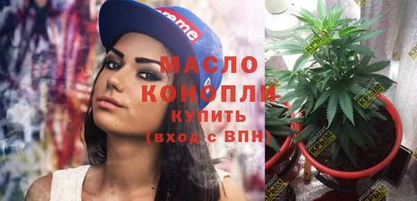 сатива Зеленокумск