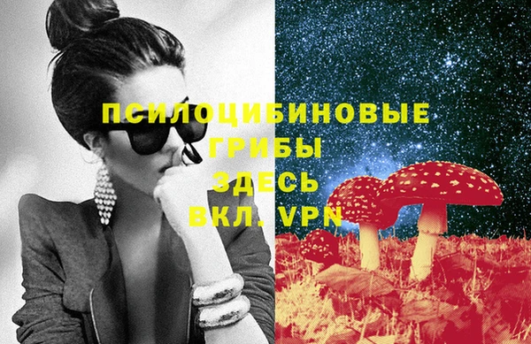 хмурый Заводоуковск