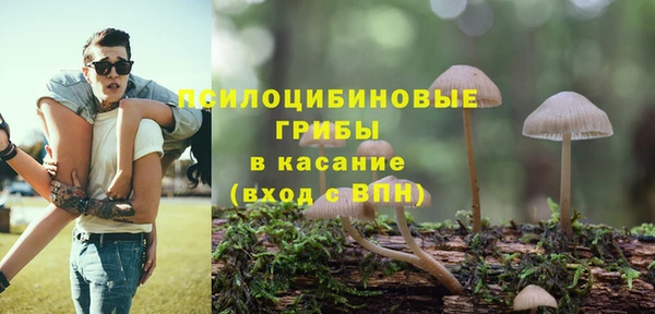 MESCALINE Заволжье