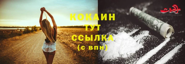 сатива Зеленокумск